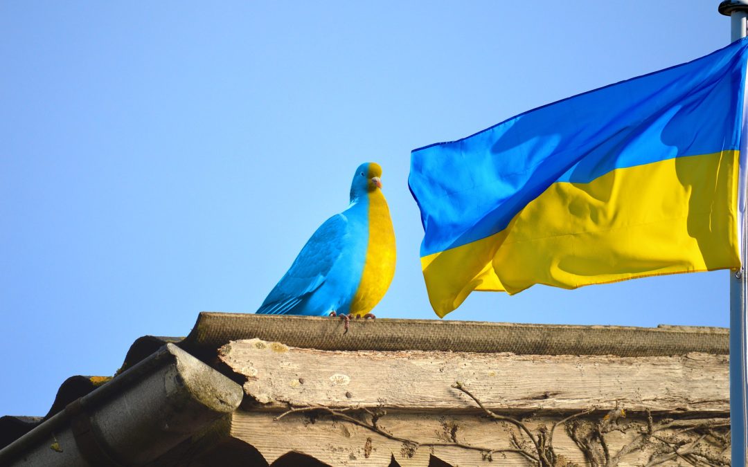 Papieski apeluje o położenie kresu wojnie na Ukrainie