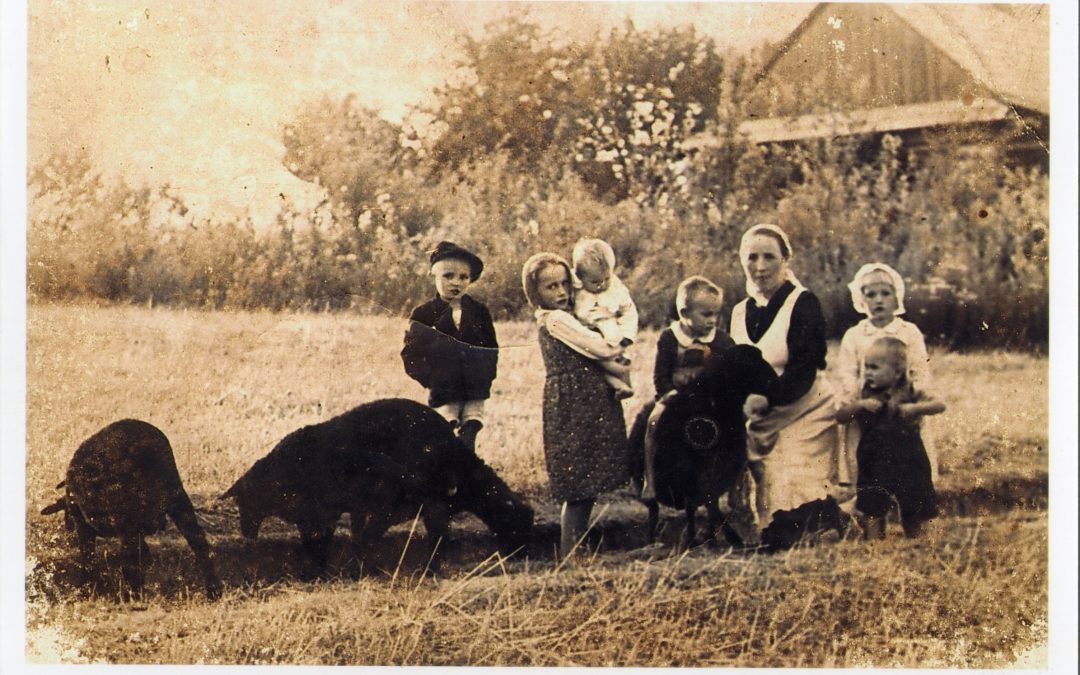 Męczeńska Rodzina Ulmów z Markowej
