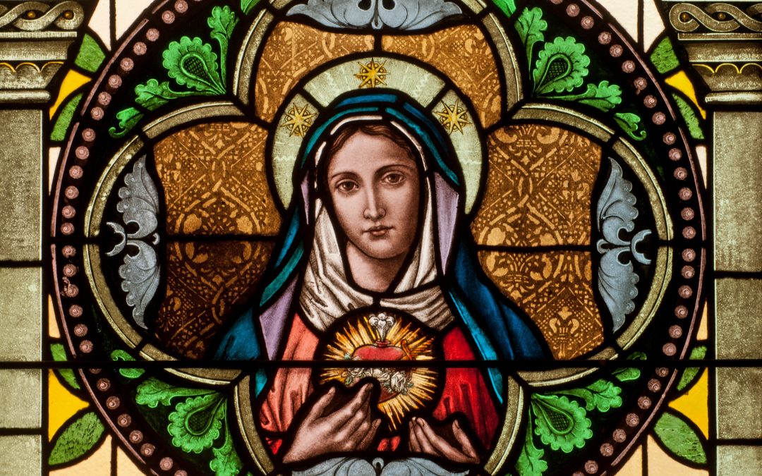 Apel papieża Franciszka